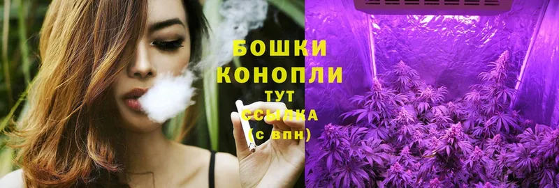 Бошки марихуана OG Kush  Рязань 